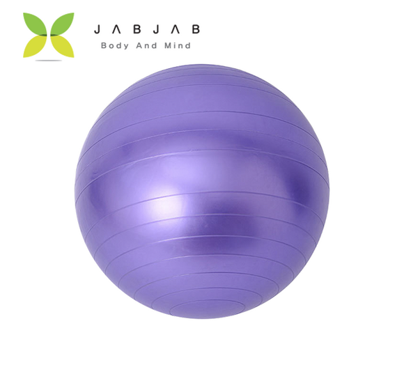 짐볼pvc65cm 요약정보 우선 확인: 안전하고 효과적인 운동, 65cm PVC 짐볼 선택 가이드