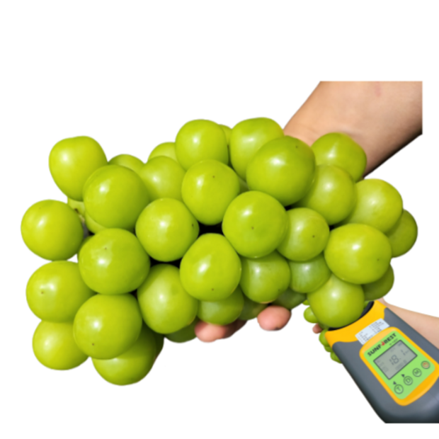 2d139d6fd1eb4fa427188e71036e3ba6e10600c0e4aa95533446ba563326.png