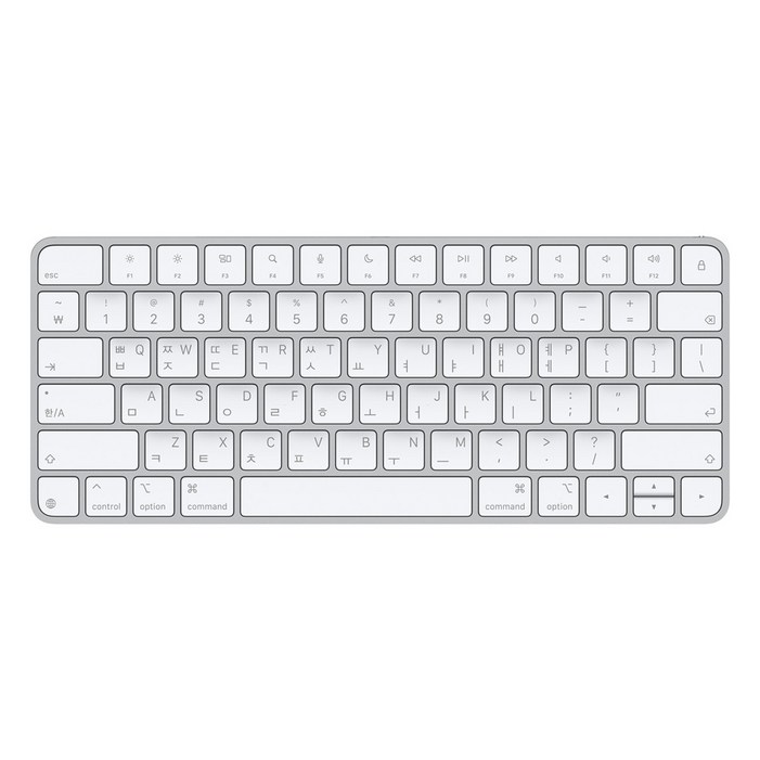 Apple 2024 Magic Keyboard 한국어 MXCL3KHA