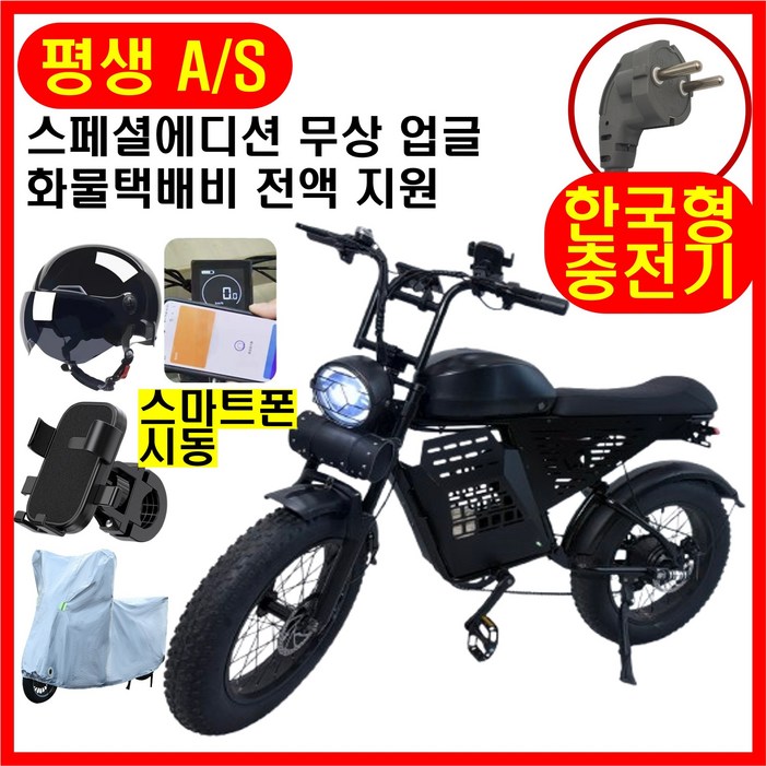 테크앤유 자토바이 RX9 전기자전거 레트로 스페셜에디션, 블랙, 스틸