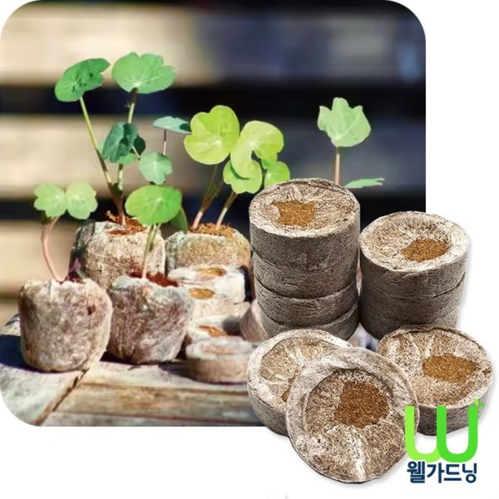 조이가든센터 Peat pellet 피트펠렛 40mm  50개, 5.5g, 50개