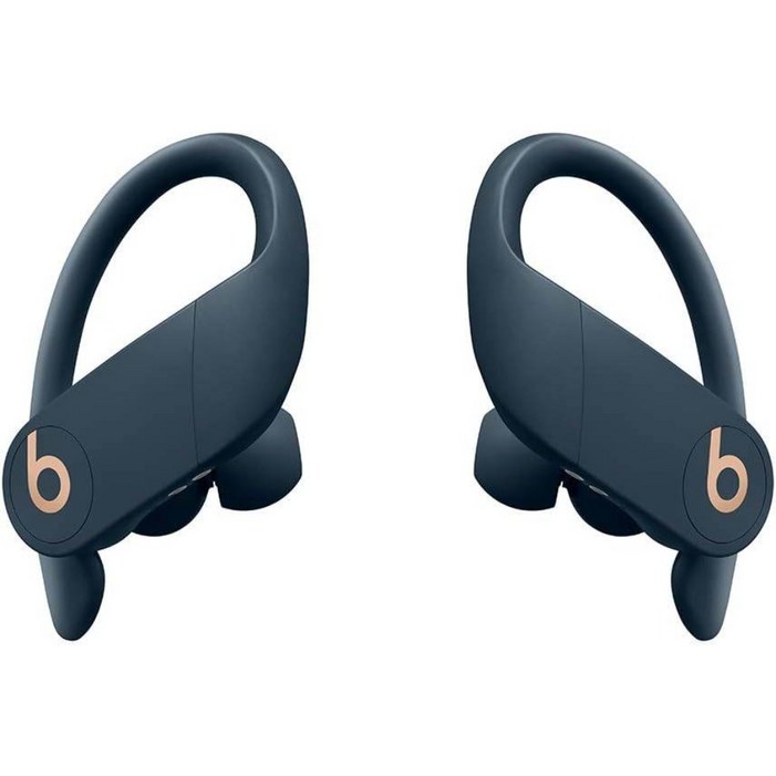 Beats by Dr. Dre Powerbeats Pro Wireless 이어버드