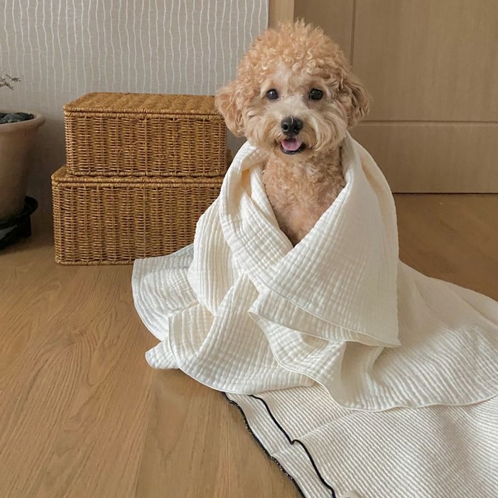 순면100 강아지이불 애견담요 블랭킷 켄넬담요, 베이지7090, 1개