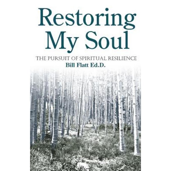 Restoring My Soul The Pursuit of Spiritual Resilience Paperback Restoring My Soul The Pursuit of Spiritual Resilience Paperback