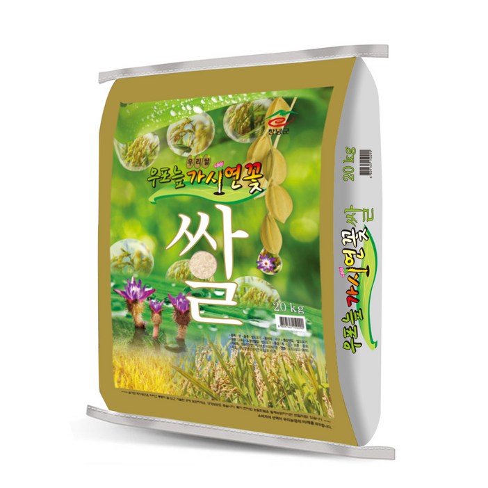 가가호호 가시연꽃 삼광