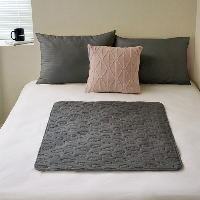 더자리 그날 안심 생리 방수패드