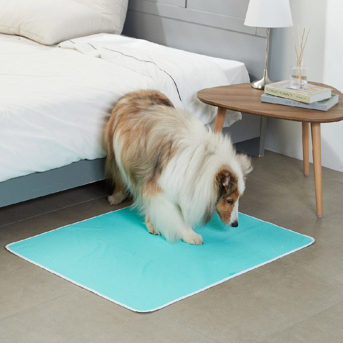 루플리 에코패드 (대형 L ) 강아지 빨아쓰는 배변패드 친환경 배변매트, 1세트, 3개입