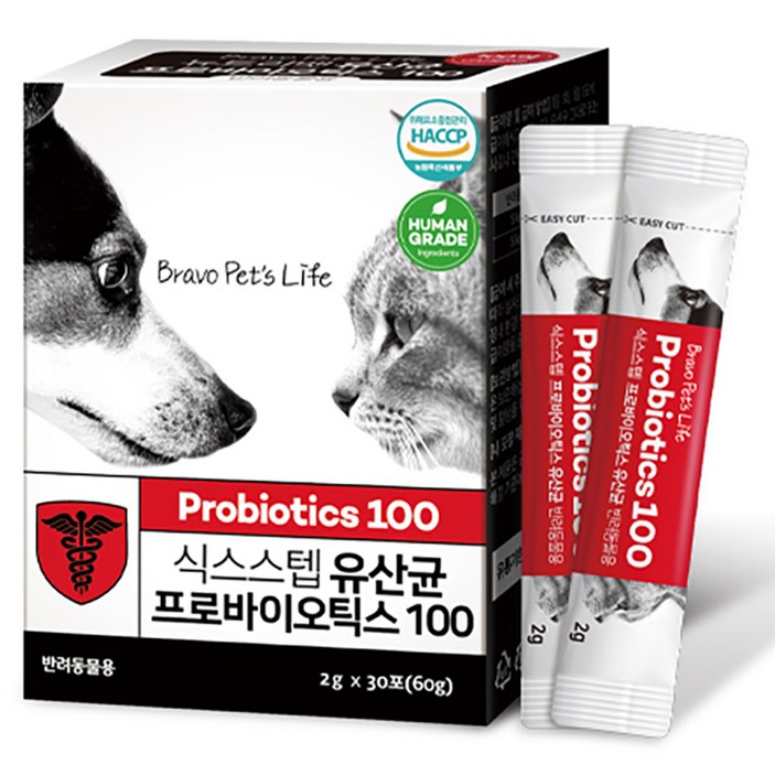 식스스텝 반려동물 영양제