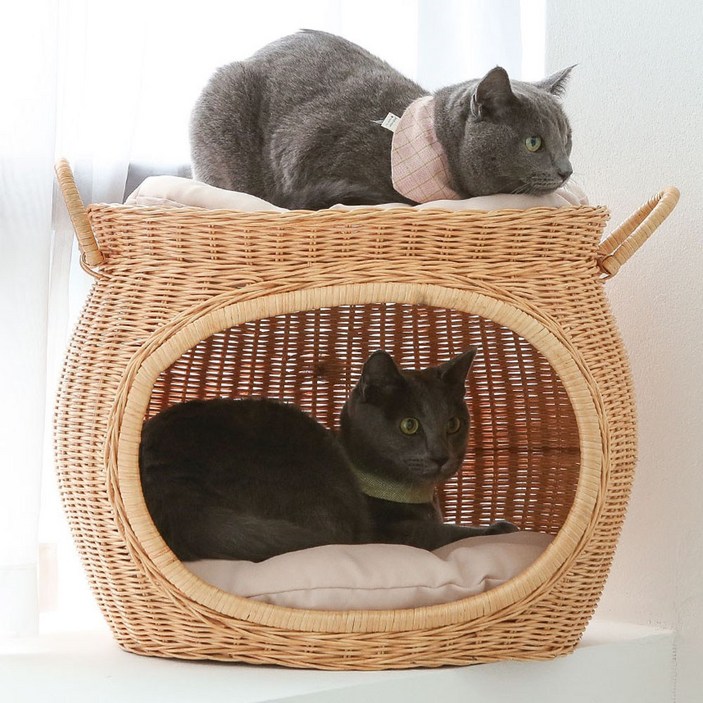 초록씨 고양이 강아지 라탄 하우스고양이집 강아지집 하우스쿠션하우스, 2.항아리 라탄 하우스, 1개