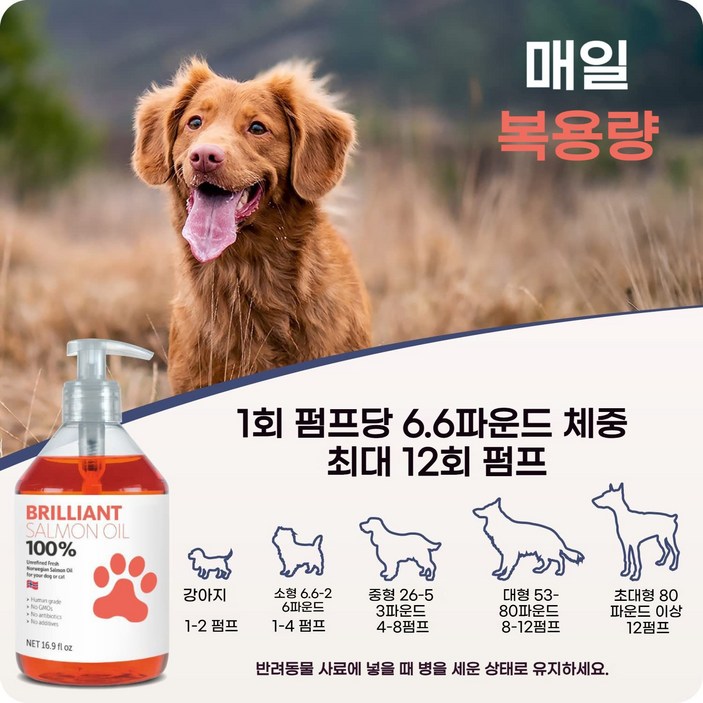 노르웨이산 연어오일 강아지 고양이 공용 피부 건강 털 윤기 개선 영양제