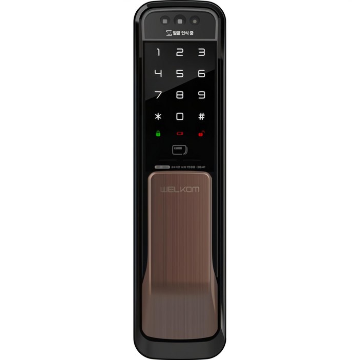 솔리티 얼굴인식 무타공 푸시풀 손잡이 있음 도어락 WP500A