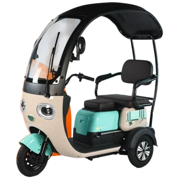 하비트샵 어르신전동차 삼륜 노인 어르신, 기본 색상, 600w 48V 12A 캐노피포함