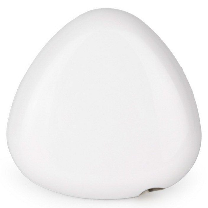 PLEIGO UV C LED 휴대용 충전식 조약돌 칫솔 살균기