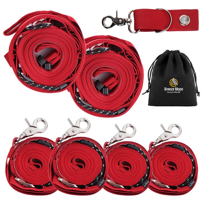 브리즈문 3세대 고강도 타프 웨빙 스트랩 메인 2p  사이드 4p  폴대 아일렛 고리  파우치 풀세트