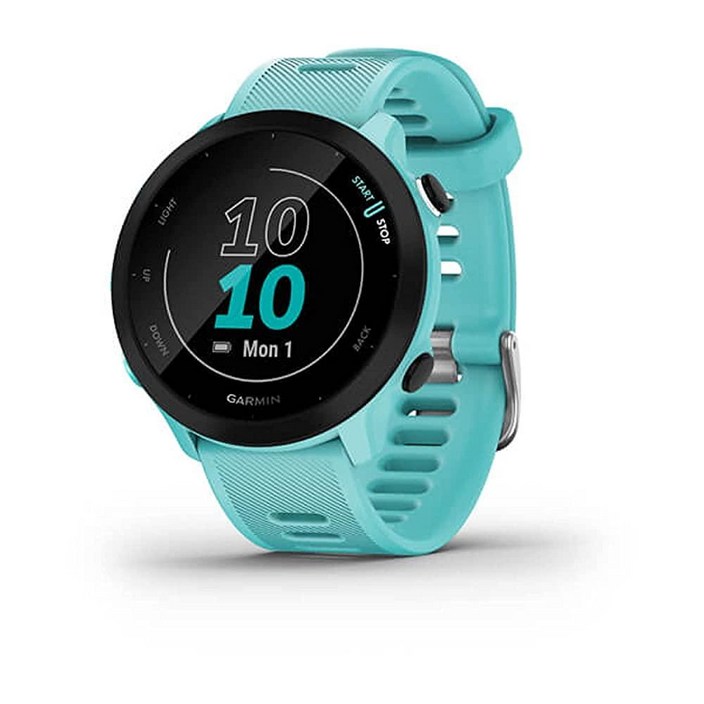 Garmin Forerunner 55, GPS 러닝 시계, 일일 권장 운동, 최대 2주 배터리 수명, 블랙  0100256200