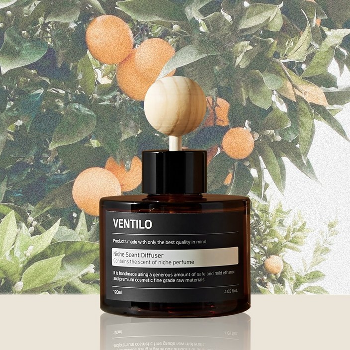 오데썽 차량용 방향제 디퓨저 오렌지