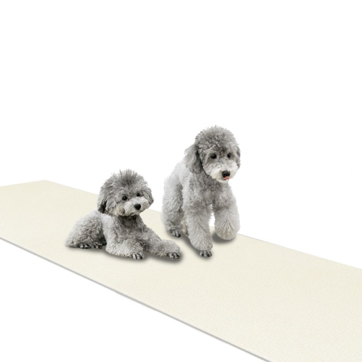 딩동펫 미끄럼방지 매트 롤형