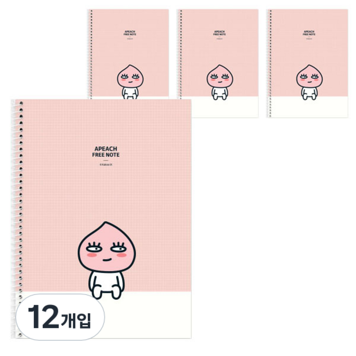 카카오프렌즈 스프링 연습장 노트
