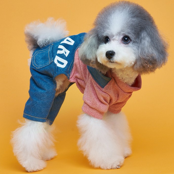 도그아이 애견용 스탠다드 올인원 의류