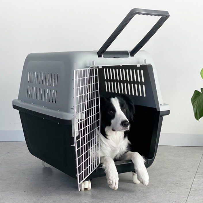 딩동펫 반려동물 에어켄넬