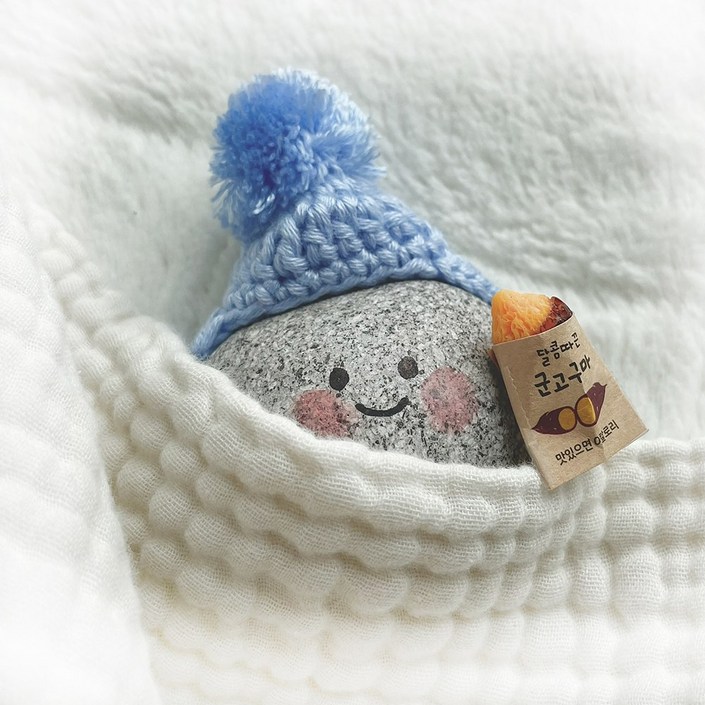 맘스크 반려돌 애완 돌 반려석 키우기 세트 어린이 생일 선물