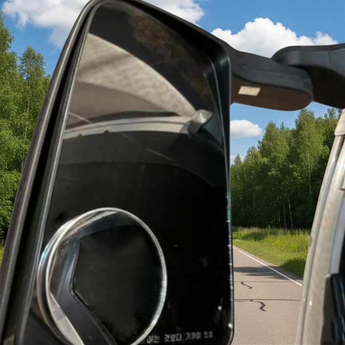 데드존 보조미러