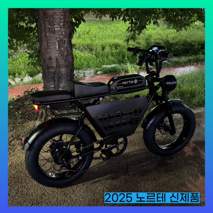 노르테 전기 자전거 자토바이 전동 스쿠터 팻바이크 MTB 배달용 출퇴근용, S1 럭셔리, 스틸