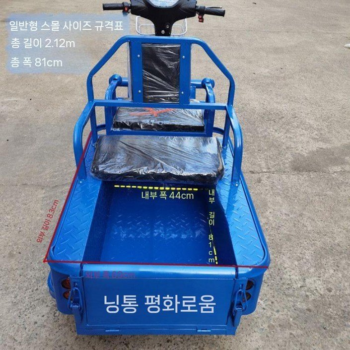 전기 세발 자전거 바이크 트럭 평판 전동스쿠터 역삼륜 마실 짐차 배달 성인 운반