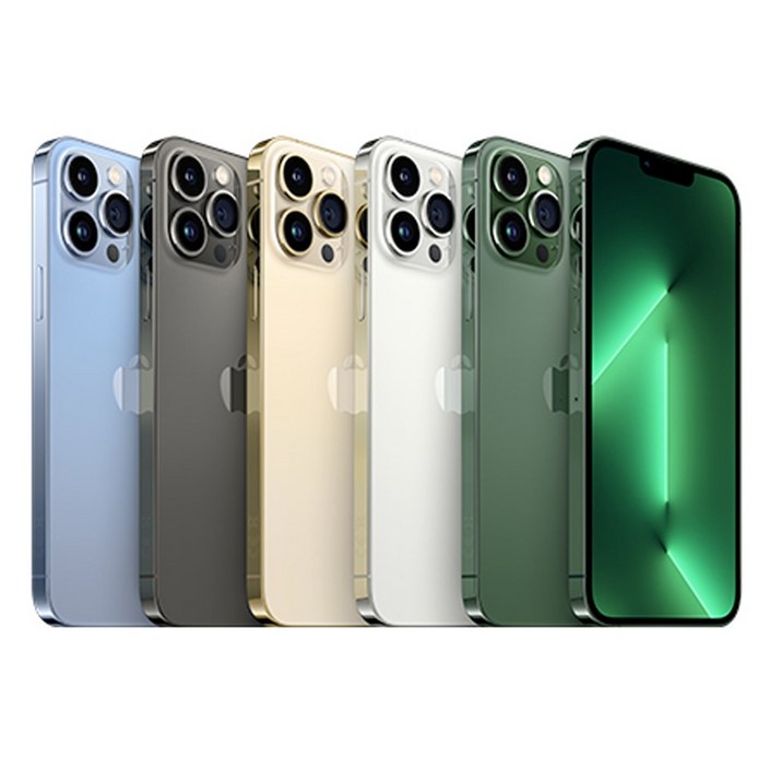 아이폰 13 프로맥스 iPhone 13 Promax 공기계 자급제