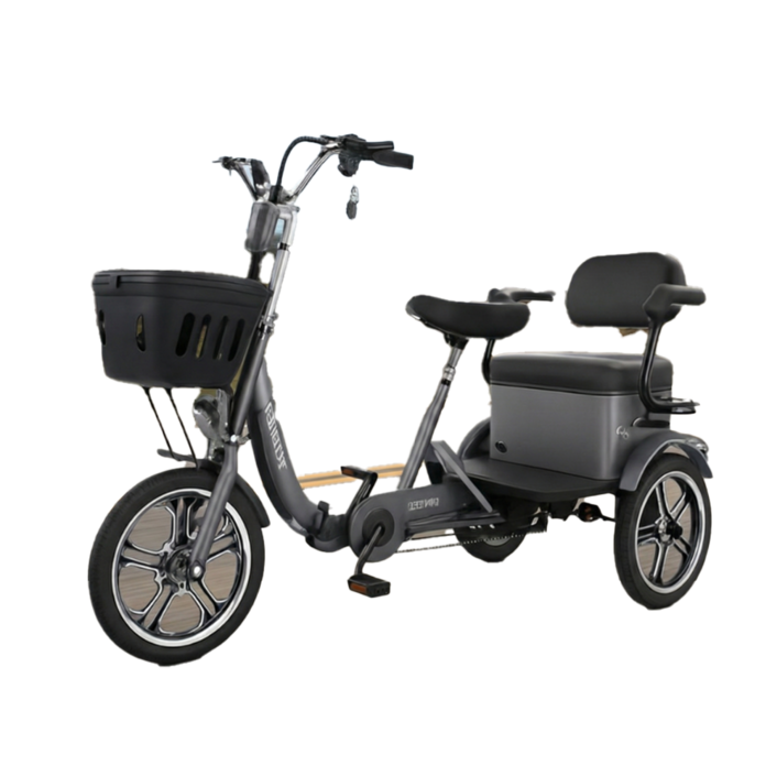 투게더바이크 세발전기자전거, 용량 30A, 투게더바이크