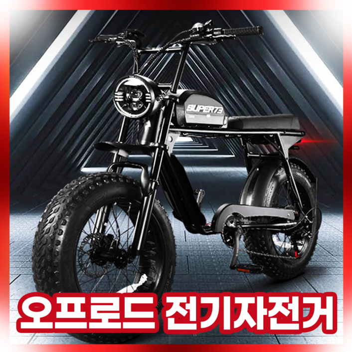 Zergo 오프로드 전기자전거 두꺼운 바퀴 펫바이크 자토바이 전동스쿠터 안전한 리튬 배터리