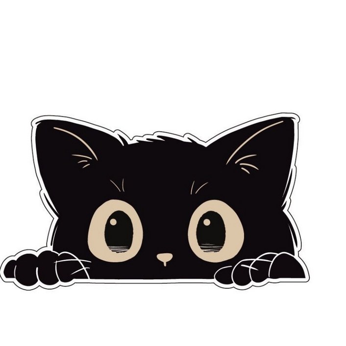 태쓰 자동차 스티커 흠집커버 스크래치 커버 차량 반창고 노트북스티커