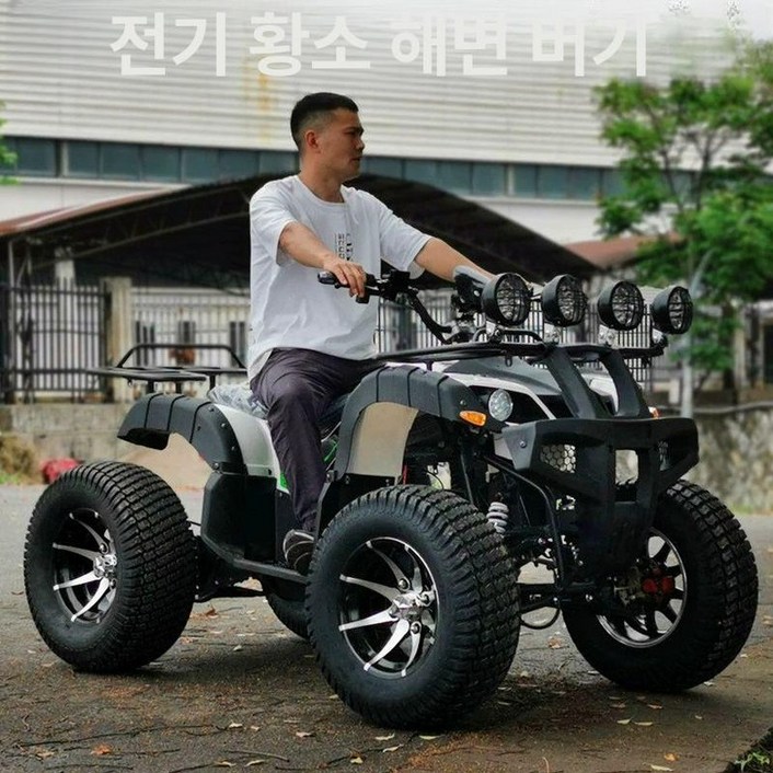 농사용 사발이 전동 버기카 1개 자동차 농업용 제이스튜