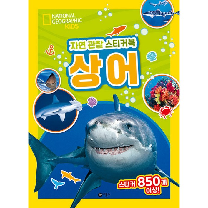 자연 관찰 스티커북 상어
