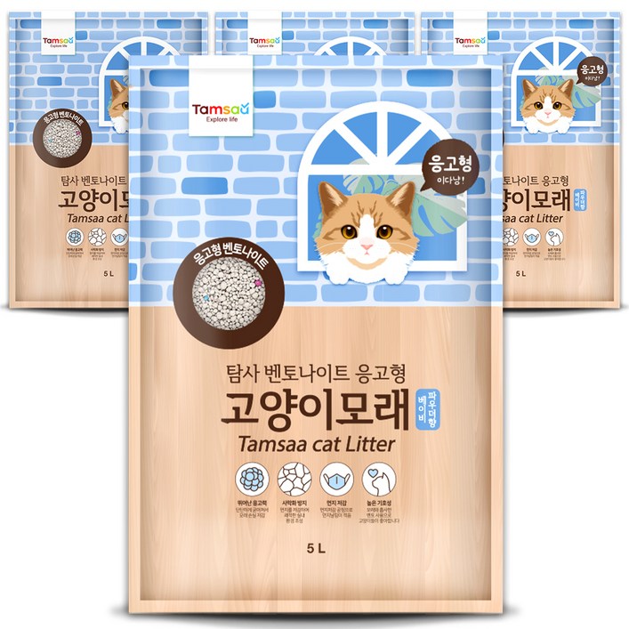 탐사 응고형 고양이 모래