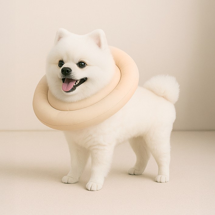 레토 강아지 고양이 넥카라 방수 초경량 대형견 소형견