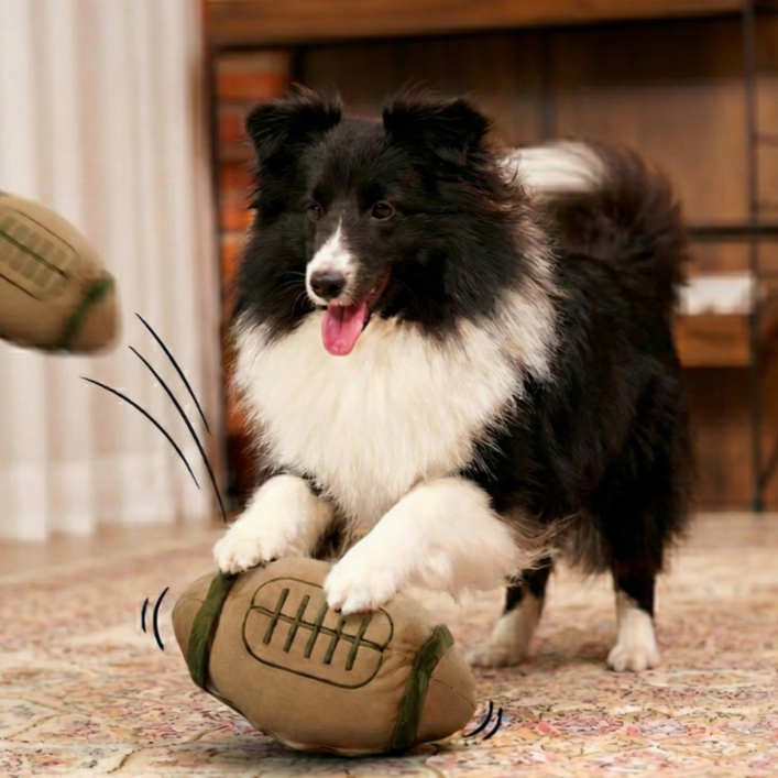 디퓨리 반려동물 자동으로 움직이는 노즈워크 장난감 노즈럭비 c타입 충전형, 브라운/그린, 1개