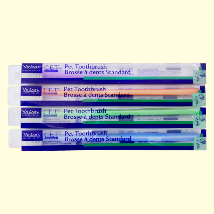 [버박] CET 미니 칫솔