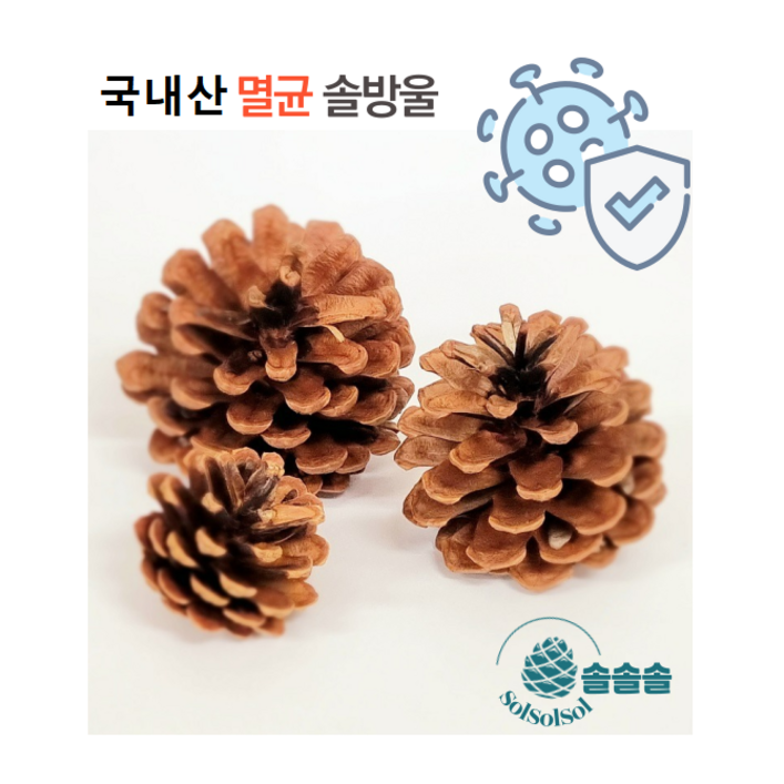 멸균 솔방울 국산 천연 인테리어 소품 공예 크리스마스 장식
