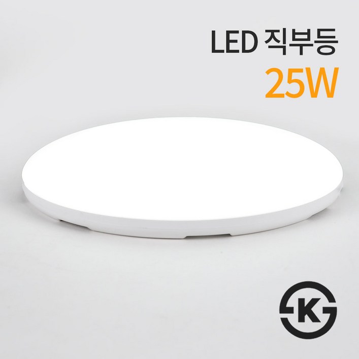 LED 원형 직부등 25W KS인증 주광색, 1개