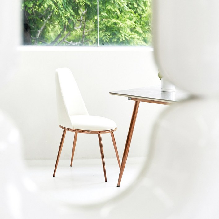 가구앤하우스 로즈로사 로즈골드 인테리어 식탁 의자 5colors, 브라운, 1개