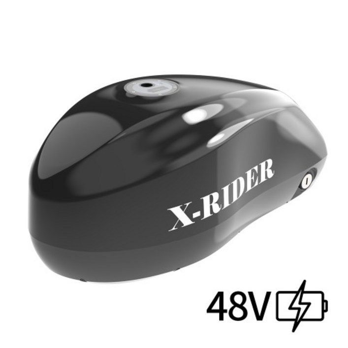 엑스라이더 전용 X200 시리즈 전용 48V 35Ah 점보배터리