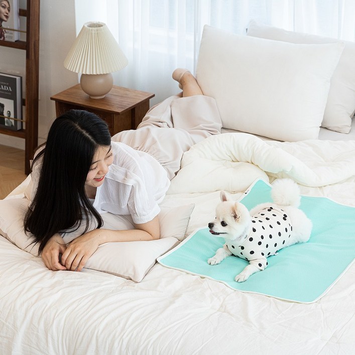 루플리 에코패드 수컷용 초대형 XL 1장 빨아쓰는 배변패드 친환경 다회용 강아지 논슬립, 1개