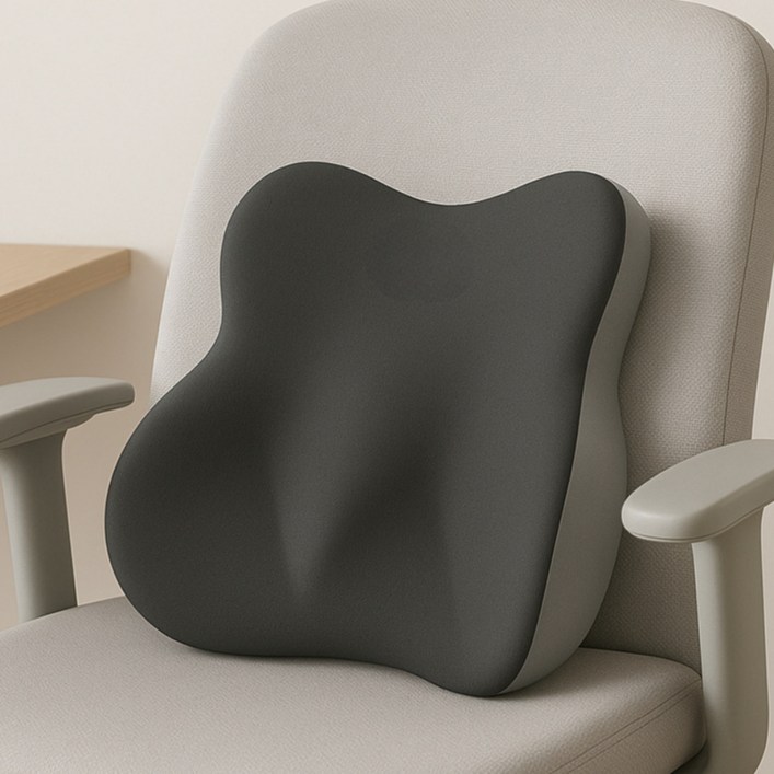 하루포유 바른자세 메모리폼 등받이 허리 쿠션, 다크그레이