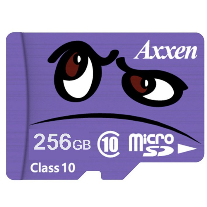 카메라 스마트폰 노트북을 위한 Axxen C10 MicroSD 2TB 1TB 512GB 256GB 128GB 메모리 카드 SDXC 클래스 10 TF 미니 카드 마이크로 SD