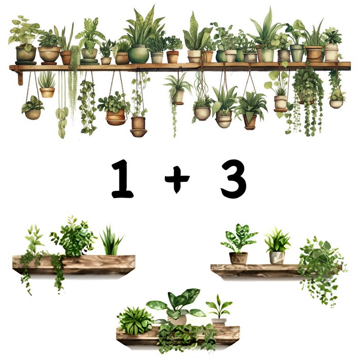 제이레인 식물 인테리어 스티커 벽면 인테리어 스티커