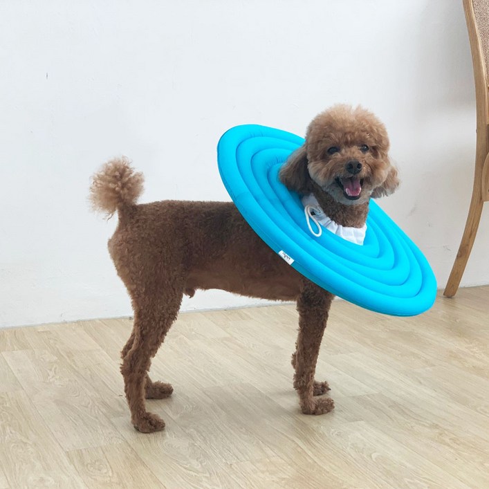 유앤펫 강아지 고양이 UFO 초경량 넥카라시즌3