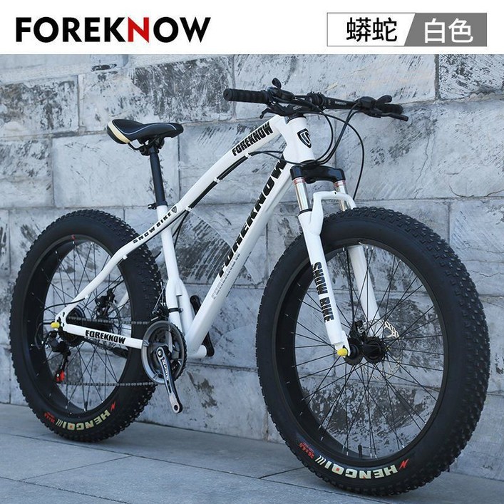 산악 MTB 자전거 광폭타이어 팻바이크 30단 자출용 자전거 공구포함