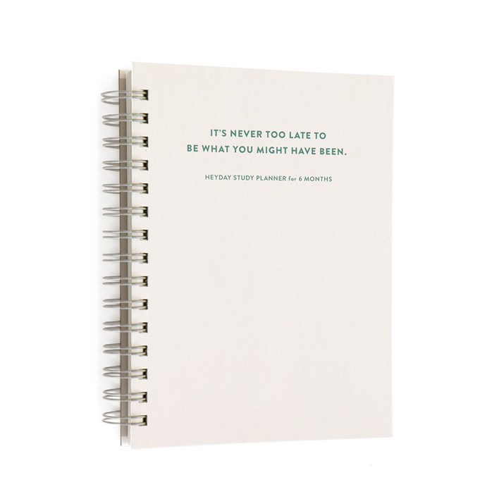 아이코닉 헤이데이 스터디 플래너 6개월