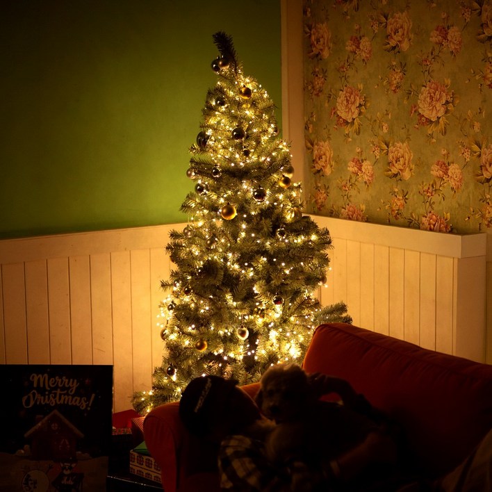 [대여] 하웃 크리스마스트리 대여 렌탈 대형트리 트리장식 오너먼트 지네전구 풀세트